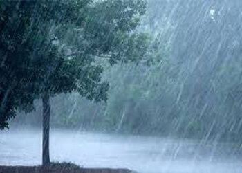 માવઠાનો માર : ઘોઘા-ભાવનગરમાં પોણો ઈંચ ધોધમાર કમોસમી વરસાદ | Heavy rain: Unseasonal rain of half an i…