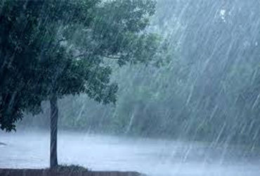 માવઠાનો માર : ઘોઘા-ભાવનગરમાં પોણો ઈંચ ધોધમાર કમોસમી વરસાદ | Heavy rain: Unseasonal rain of half an i…