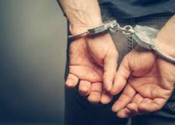 ૧૯ લાખના વિદેશી દારૃના કેસમાં બૂટલેગર પકડાયો | Bootlegger arrested in foreign liquor case worth Rs 1…