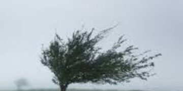 વડોદરામાં ૩૦ કિલોમીટરની ઝડપે પવન ફૂંકાયો | Winds blew at a speed of 30 kilometers in Vadodara