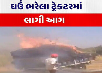 નડિયાદ પાસે હાઇવે પર ઘઉં ભરેલી ટ્રકમાં આગ ભભૂકી | Fire breaks out in a truck loaded with wheat on th…