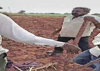 મુળીના લીયા ગામમાં 2 જુથ વચ્ચે ધીંગાણુ : 7 ને ઇજા | Clashes between two groups in Liya village of Mu…