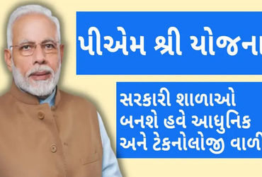 442 લાખના ખર્ચે જિલ્લાની 21 પી.એમ.શ્રી શાળાની સુવિધા વધારાઈ | Facilities of 21 PM Shree schools in t…