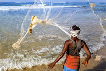 જામનગરન જીક બેડીના દરિયાઈ વિસ્તારમાં પ્રતિબંધિત હોય તેવી માછીમારીની ઝાળી સાથે માછીમાર ઝડપાયો | Fishe…