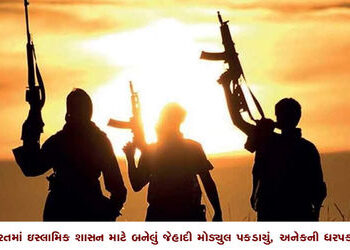 ભારતમાં ઇસ્લામિક શાસન માટે બનેલું જેહાદી મોડયુલ પકડાયું, અનેકની ધરપકડ | Jihadi module formed for Isl…