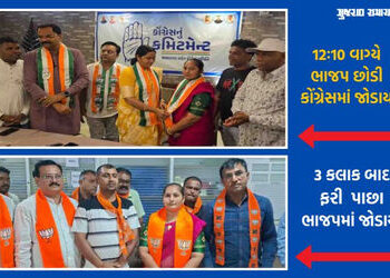 ભાવનગરમાં હાઈ વોલ્ટેજ ડ્રામા: કોંગ્રેસમાં જોડાયાના 3 જ કલાકમાં પૂર્વ કોર્પોરેટરની ભાજપમાં ઘરવાપસી, જ…