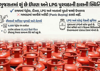 ગુજરાતમાં પેટ્રોલ-ડીઝલ અને LPG પુરવઠાની હાલની સ્થિતિ શું છે? રાજ્ય સરકારે આપી તમામ માહિતી | importan…
