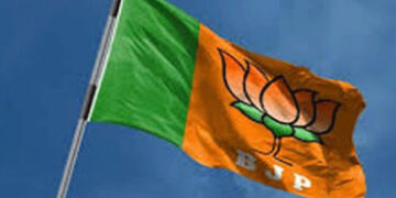 વડોદરામાં આચાર સંહિતાનો કડક અમલ શરૂ : ભાજપના ઝંડા, બેનરો ઉતારાયા | Strict implementation of code of …