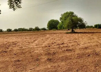 ભારતમાં ટોચનાં ૧૦ ટકા ગ્રામીણ પરિવારો પાસે ૪૪ ટકા જમીન | Top 10 per cent rural households control 44…