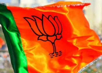 વડોદરા જિલ્લાની પાલિકા અને તા. પંચાયતોમાં 21 મુસ્લિમોને ભાજપની ટિકિટઃસૌથી વધુ ડભોઇમાં પસંદગી | BJP g…