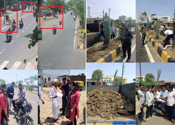 વડોદરામાં જાહેર માર્ગ પર પશુ છોડનાર અને ગંદકી કરનાર પશુમાલિકો સામે VMCની દંડાત્મક કાર્યવાહી | VMC ta…