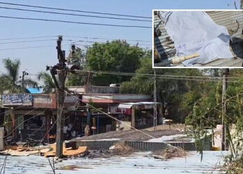 નસવાડીમાં કરુણ ઘટના, કાંધા ગામે ધાબા પર કામ કરતા શ્રમિકને હાઈ ટેન્શન લાઈનનો કરંટ લાગતા મોત | Naswadi…