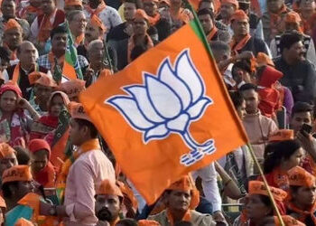 ચૂંટણી પ્રચારમાં નેતાઓનો વાણીવિલાસ: ભાજપ MLAએ કહ્યું- શું તારા બાપાના પૈસે વિકાસ કરીશ? | Gujarat Pol…