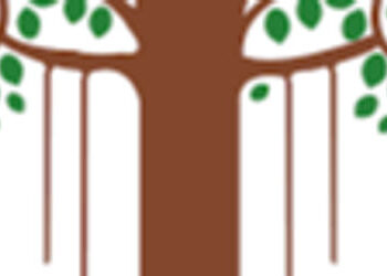 VMC ચૂંટણીમાં ૭ ફોર્મ પરત ખેંચાતા હવે ૭૬ બેઠકો માટે ૨૫૮ ઉમેદવારો વચ્ચે જંગ | 258 candidates in VMC e…