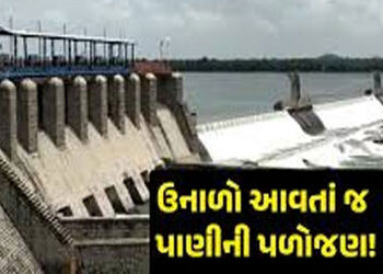 સૌરાષ્ટ્રના 9 ડેમો મેદાનમાં ફેરવાયા : રાજ્યના 30 ડેમો 90 ટકા ખાલી થયા | 9 dams in Saurashtra turned …