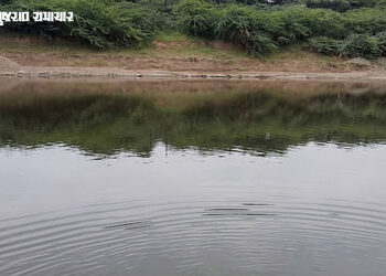 વાવ-થરાદના ડોડગામે કરુણાંતિકા: તળાવમાં ડૂબી જતાં ત્રણ બાળકોએ જીવ ગુમાવ્યો, મામાના ઘરે આવેલા ભાણેજોના…