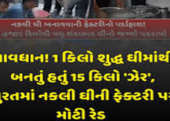 સુરતના સચિન GIDC માં નકલી ઘીની ફેકટરી : કેમિકલથી બનેલું 2029 કિલો ઘી કબજે | Fake ghee factory in Sac…