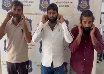 ગોરવામાં કોર્પોરેશનની ટીમ સાથે ઘર્ષણ કરી ગાય છોડાવી જનાર ત્રણ પશુપાલક પકડાયા | 3 cattle herders arre…