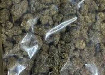 લઠ્ઠાકાંડ આરોપી ૧.૨૫ લાખના ૨ કિલો ૪૦૦ ગ્રામ ગાંજાના જથ્થા સાથે ઝડપાયો | A ares ren safeien opuchopuc…