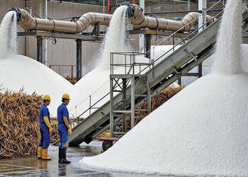 ખાંડનું ઉત્પાદન 8 ટકા વધીને 2.739 મિલિયન મેટ્રિક ટન | Sugar production increases by 8 percent to 2 7…