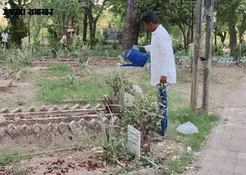 સ્થાનિક સ્વરાજ્યની ચૂંટણી: રાજપીપળામાં કોંગ્રેસે કબ્રસ્તાનની સંભાળ રાખતા વ્યક્તિને આપી ટિકિટ | Rajpi…