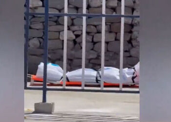 કેદારનાથમાં ગુજરાતી શ્રદ્ધાળુનું મોત, વડોદરાના ટૂર ઓપરેટરના પિતાનું હાર્ટ એટેકથી નિધન | gujarati pil…