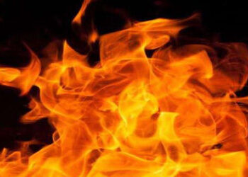 વડોદરામાં ગરમીના પ્રકોપને કારણે કચરાના ઢગલામાં આગના છ બનાવ | Six incidents of fire in garbage dumps …