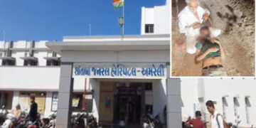 અમરેલી: ટ્રેક્ટરમાં રીલ બનાવતા મજૂરને ઠપકો આપવો વાડી માલિકને ભારે પડ્યો, પથ્થર અને પાઈપના ઘા ઝીંકી ક…