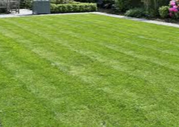 શહેરના બગીચાઓ સિનિયર સિટિઝન્સ ફ્રેન્ડલી નથી | gardens of vadodara are not senior citizen friendly