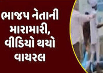 ભાજપની ચૂંટણી સભામાં પ્રશ્ન પૂછનાર ગ્રામજનને સાંસદની સામે જ માર માર્યો | Villager beaten up in front…