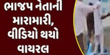 ભાજપની ચૂંટણી સભામાં પ્રશ્ન પૂછનાર ગ્રામજનને સાંસદની સામે જ માર માર્યો | Villager beaten up in front…
