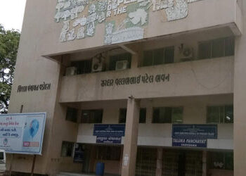 વડોદરા જિલ્લા પંચાયતની 30 બેઠકો ઉપર 71.17 ટકા અને 8 તાલુકા પંચાયતમાં 72.34 ટકા મતદાન | 71 17 percent…