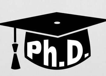 એમ.એસ.યુનિમાં ગયા વર્ષ કરતા બમણા પીએચડી સ્ટુડન્ટસે પ્રવેશ લીધો | phd students in msu increased by tw…