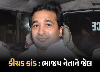 ‘સરકારી કર્મીનું અપમાન ન કરવું જોઈએ’ કીચડ કાંડમાં BJP નેતા દોષિત, કોર્ટે ફટકારી સજા | BJP Minister N…