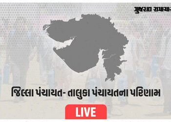 જિલ્લા અને તાલુકા પંચાયત પરિણામ LIVE: બગસરા અને હળવદમાં AAPની એન્ટ્રી, જાણો તમારા તાલુકાની સ્થિતિ | …