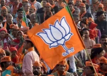 ગોંડલ અને ગણદેવીમાં ભાજપની ક્લિન સ્વિપ, ધોળકા અને વિરમગામમાં કમળ ખીલ્યું | BJP Clean Sweep in Gondal…