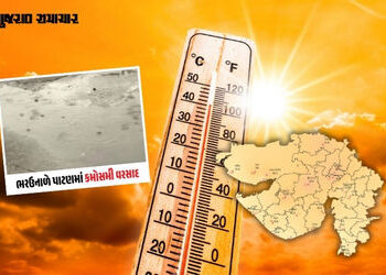 ગુજરાતમાં બેવડી ઋતુ: પાટણમાં ભરઉનાળે વરસાદી ઝાપટું, રાજકોટમાં ગરમીનો પારો 43ને પાર | Gujarat Weather…