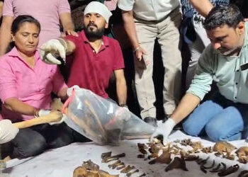 વટવામાં ઘરમાં જ દાટેલી યુવતીનું હાડપિંજર મળ્યું, DNA રિપોર્ટ ખોલશે હત્યાના રાઝ, આરોપી ‘પરિચિત’ હોવાન…