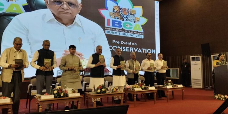 ઇન્ટરનેશનલ બિગ કેટ એલાયન્સ સમિટ-2026ની સૌપ્રથમ પ્રિ-ઇવેન્ટનો મુખ્યમંત્રીએ વર્ચ્યુઅલ માધ્યમથી પ્રારંભ…