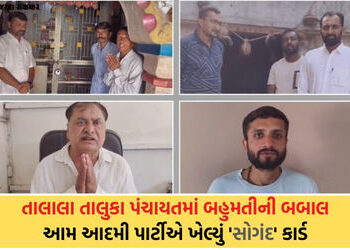 તાલાલા તાલુકા પંચાયતમાં ‘આપ’નો માસ્ટરસ્ટ્રોક: પક્ષપલટો રોકવા વિજેતા ઉમેદવારોને ઇષ્ટદેવના સોગંદ લેવડા…