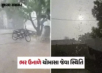 કચ્છમાં કરાં સાથે ધોધમાર વરસાદ, સૌરાષ્ટ્ર અને ઉત્તર ગુજરાત પણ ઝાપટાં, કેરીના પાકને નુકસાનીની ભીતિ | …