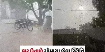 કચ્છમાં કરાં સાથે ધોધમાર વરસાદ, સૌરાષ્ટ્ર અને ઉત્તર ગુજરાત પણ ઝાપટાં, કેરીના પાકને નુકસાનીની ભીતિ | …