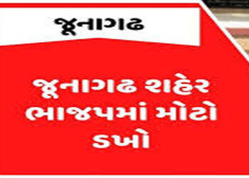 વ્હોટ્સએપમાં MLA વિરોધી ટિપ્પણી કરનાર ભાજપના જ કાર્યકરો પર હુમલો | BJP workers attacked for making a…