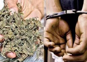 730 ગ્રામ ગાંજા સાથે બોટાદના શખ્સને ઝડપ્યો | Man from Botad arrested with 730 grams of ganja