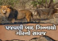 પુરપાટ ઝડપે ગાડી દોડાવી સિંહને ઉભી પૂછડીએ ભગાડયો : વિડીયો વાયરલ થયો | Man drives car at full speed c…