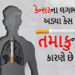 તમાકુ નિયંત્રણ અધિનિયમનો ભંગ કરતા 256 લોકો પકડાયા | 256 people arrested for violating Tobacco Contro…