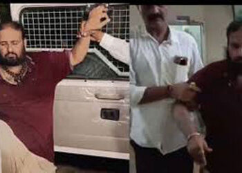 ભાવનગર : દારૃ પી ડીંડક કરતા નાયબ મામલતદાર ફરજ મોકૂફ | Bhavnagar: Deputy Mamlatdar suspended for drin…