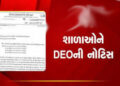 વેકેશનમાં શિક્ષણ કાર્ય શરૃ રાખનાર 3 શાળાને ડીઇઓની નોટિસ | DEO notice to 3 schools for starting teach…