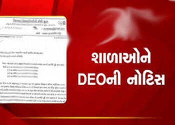 વેકેશનમાં શિક્ષણ કાર્ય શરૃ રાખનાર 3 શાળાને ડીઇઓની નોટિસ | DEO notice to 3 schools for starting teach…