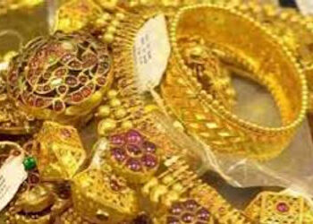 અમદાવાદમાં રિક્ષા ચાલકે મુસાફર મહિલાની નજર ચૂકવી 20 લાખના દાગીના ભરેલું પર્સ ઉઠાવ્યું, બાદમાં ઝડપાયો…